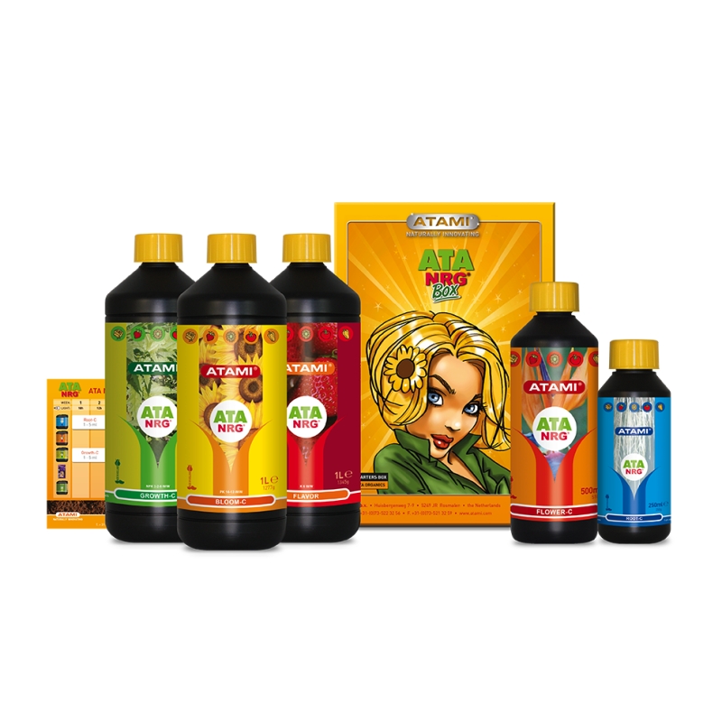 ATA NRG BOX