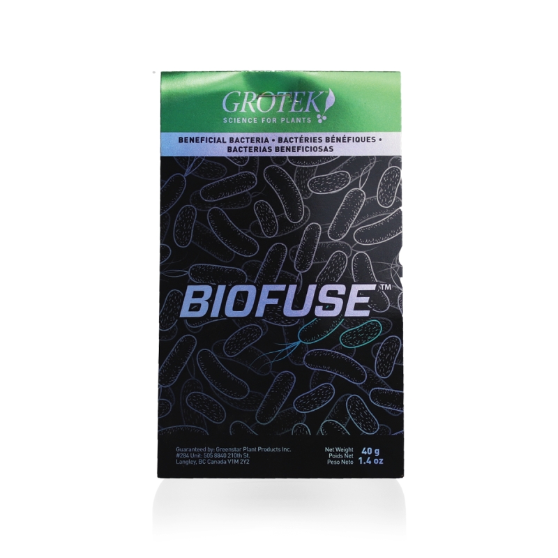 BIOFUSE DISPLAY (40GR X 15 UNI) GROTEK