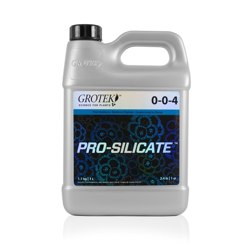 PRO SILICATE 1 L. GROTEK