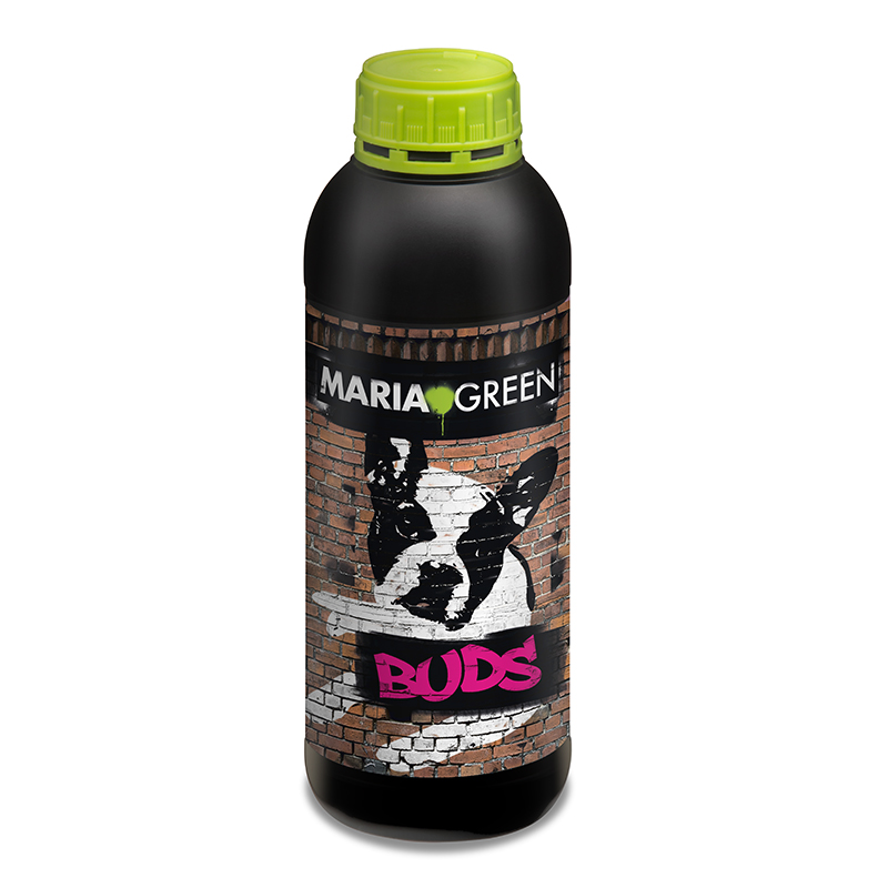 MARIA GREEN BUDS 1L