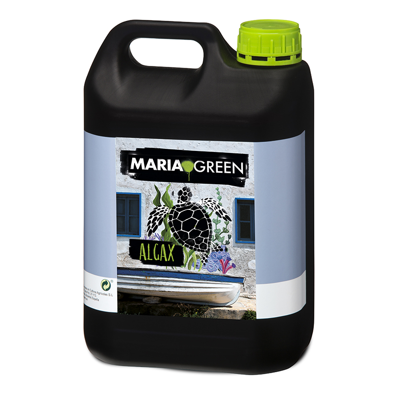 MARIA GREEN ALGAX 5L