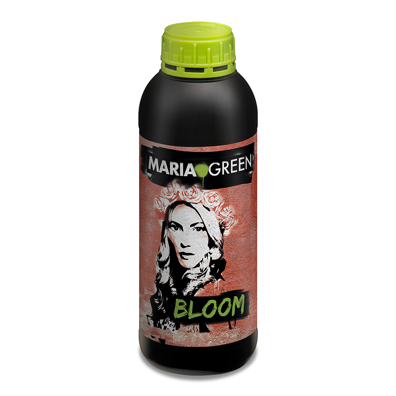 MARIA GREEN BLOOM 1L