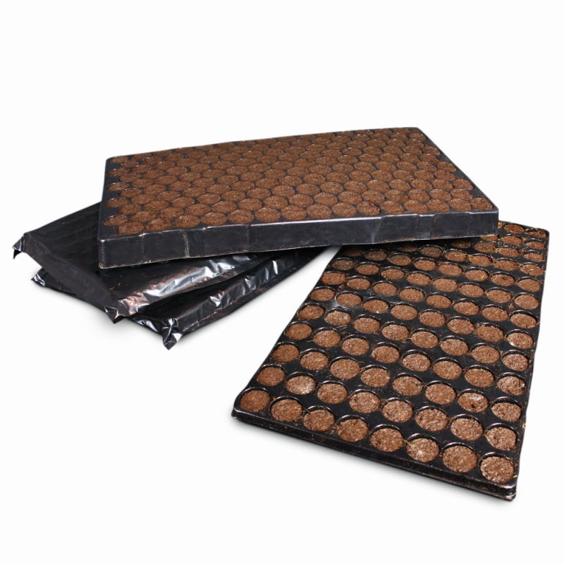 MONKEY KLONE (TRAY 150 UNITS) 6 UNITS