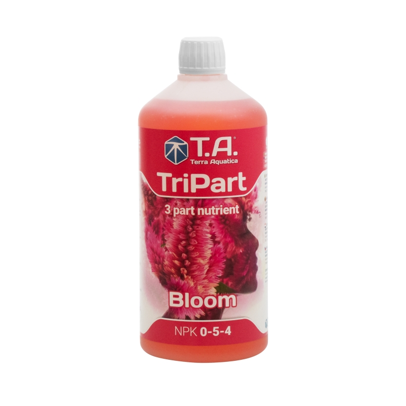 TRIPART BLOOM1 L (FLORA BLOOM)