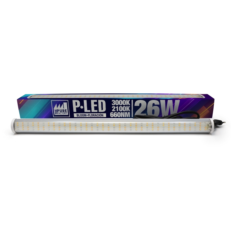 P-LED 26 W 2100K BLOOM