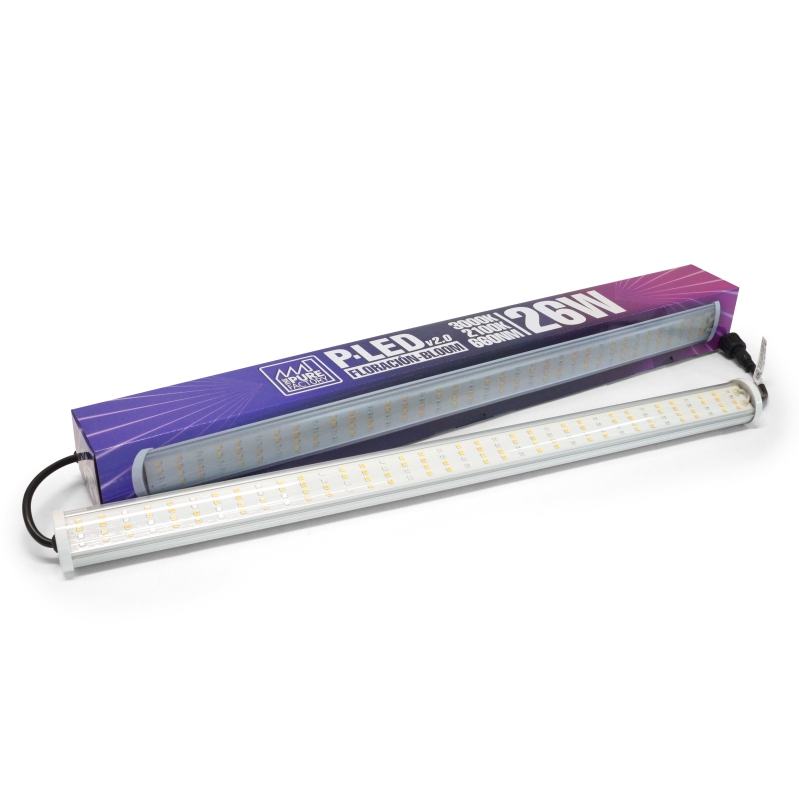 P-LED V2.0 26 W 2100K BLOOM (POWER CABLE NOT INCLUDED)